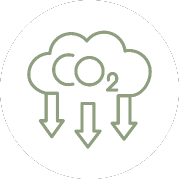 Carbon-Projekte & Emissionszertifikate